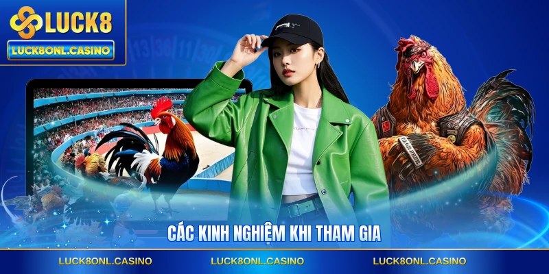 Các kinh nghiệm khi tham gia