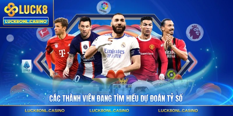Các thành viên đang tìm hiểu dự đoán tỷ số