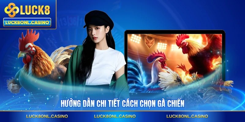 Hướng dẫn chi tiết cách chọn gà chiến