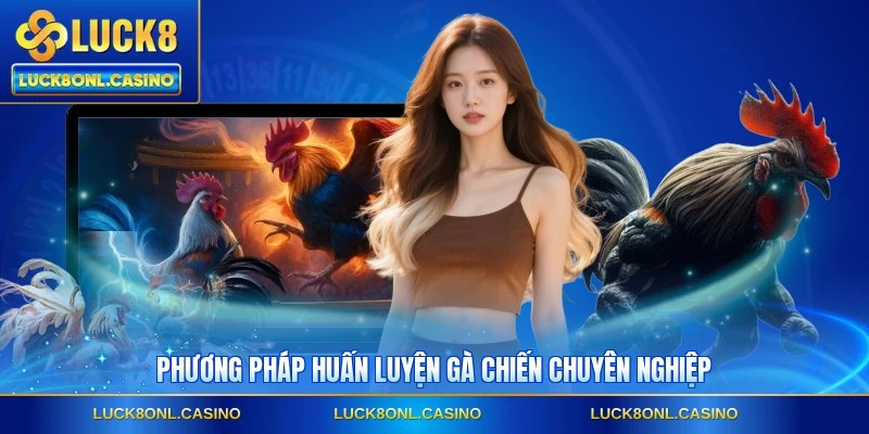 Phương pháp huấn luyện gà chiến chuyên nghiệp