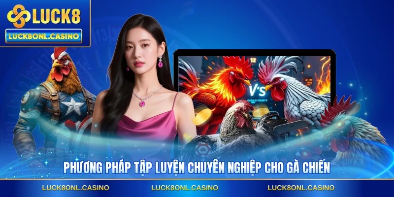 Phương pháp tập luyện chuyên nghiệp cho gà chiến